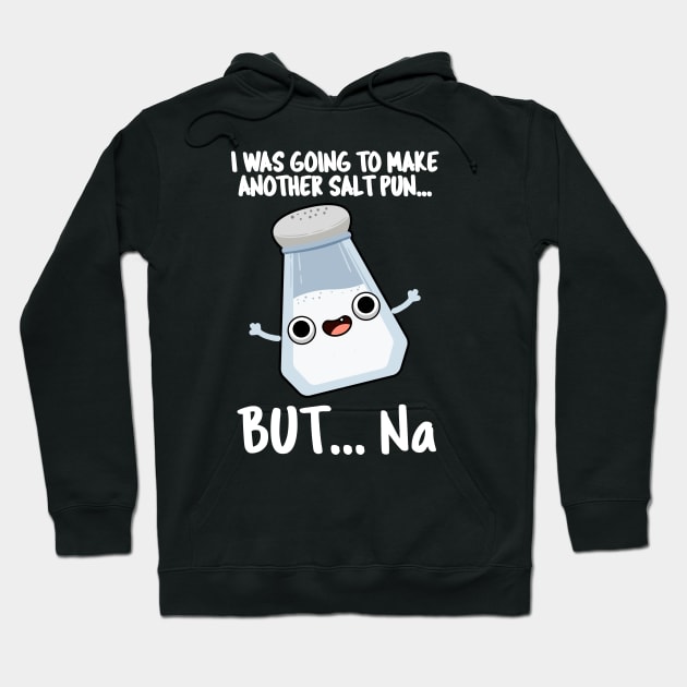 I Was Going To Make A Salt Pun But Na Cute Chemical Pun Hoodie by punnybone